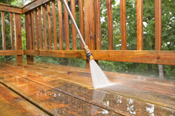 Best Local Pressure Washing Services  in Warner Robins, GA